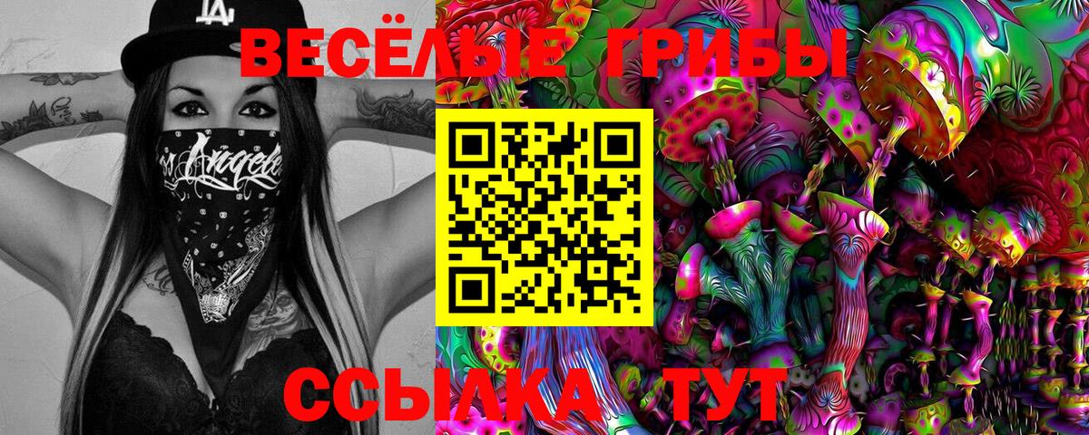 Псилоцибиновые грибы Magic Shrooms Раменское
